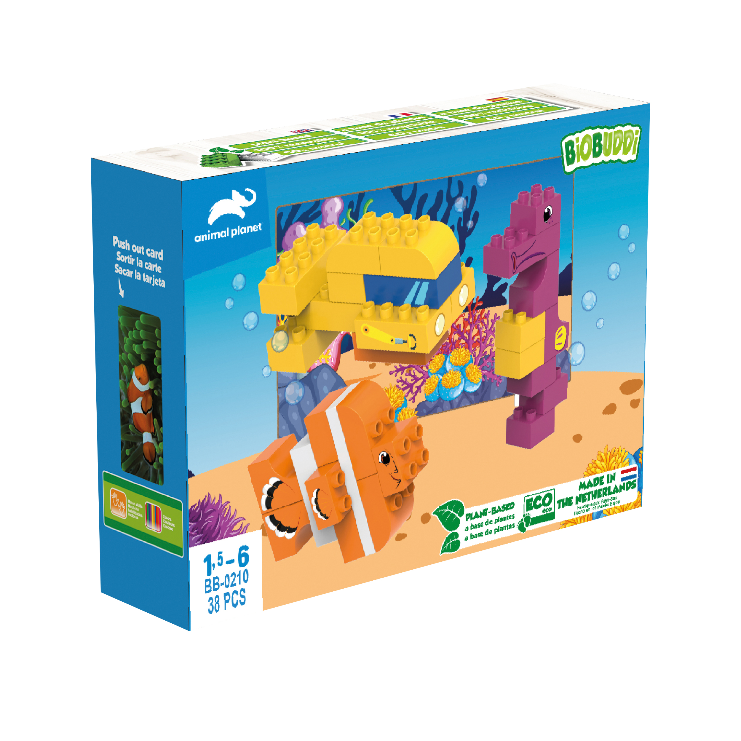 BB - Unterwasserwelt BB - Unterwasserwelt