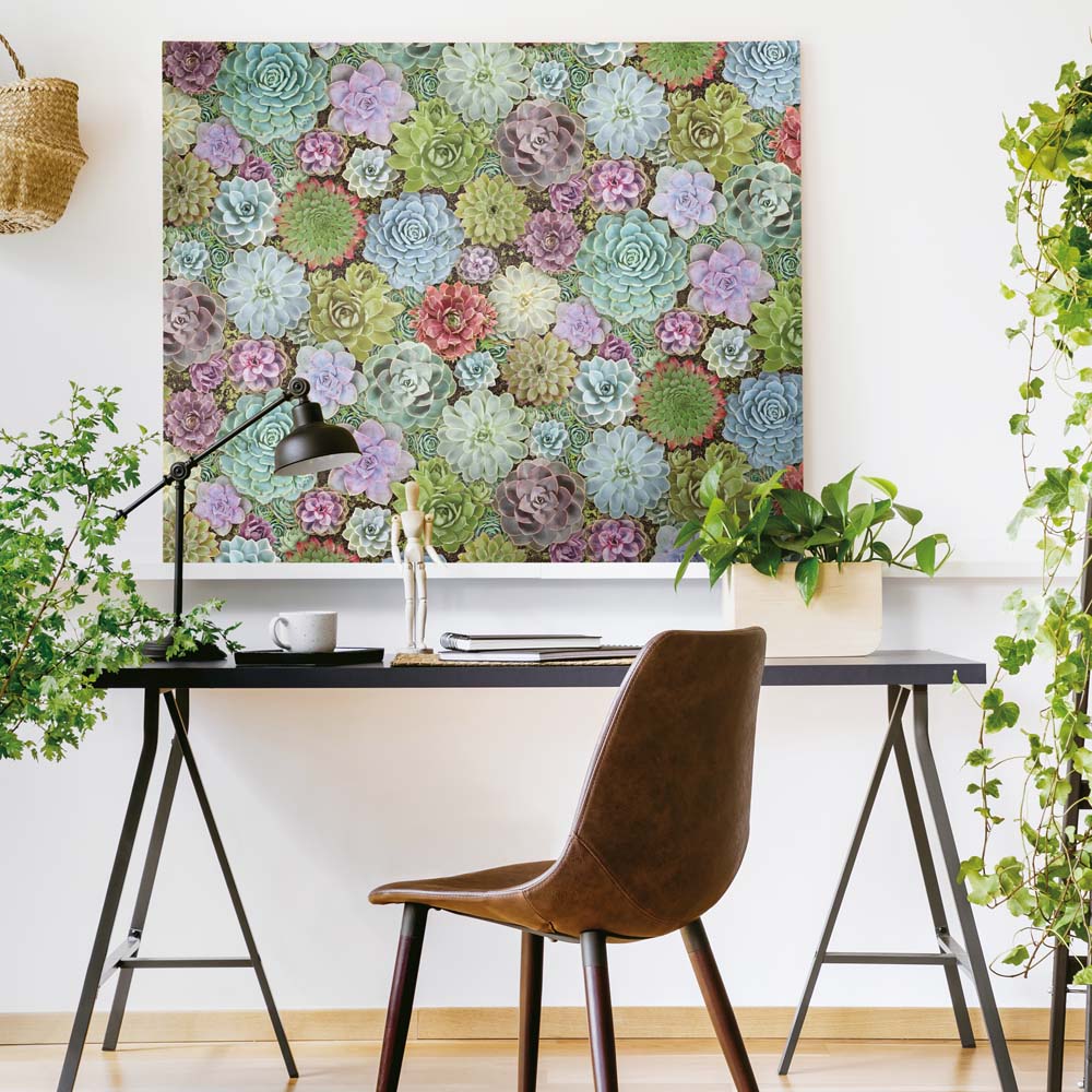 RM - PEEL & STICK Wallpaper - Sukkulenten