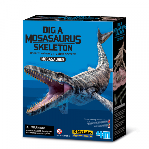 Grabe ein Mosasaurus-Skelett aus - KidzLabs