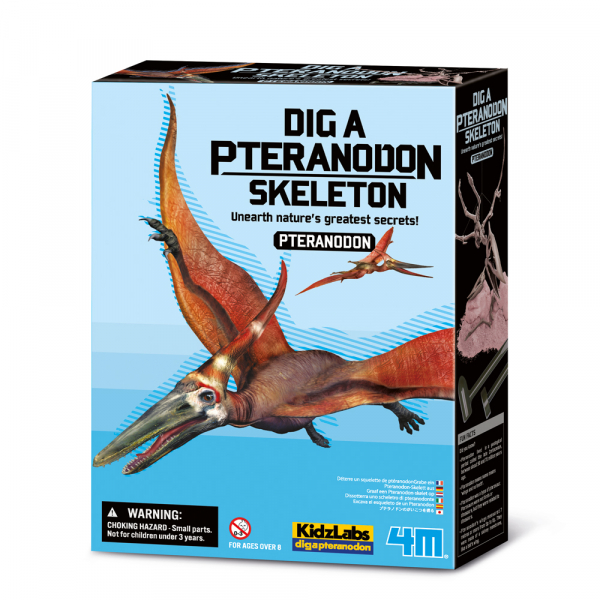 Grabe ein Pteranodon-Skelett aus - KidzLabs